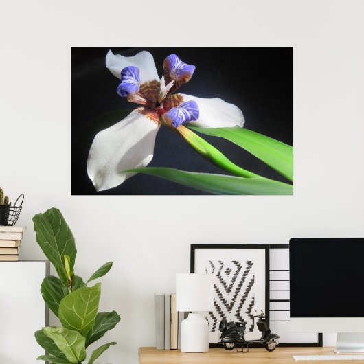 Poster Iris (Bureau à domicile)