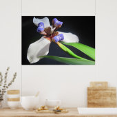 Poster Iris (Cuisine)