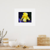 Poster Iris (Cuisine)