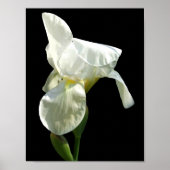 Poster Iris (Devant)