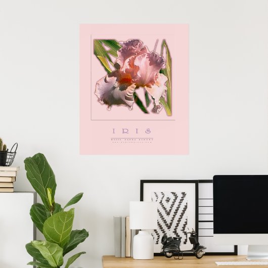 POSTER IRIS (Bureau à domicile)