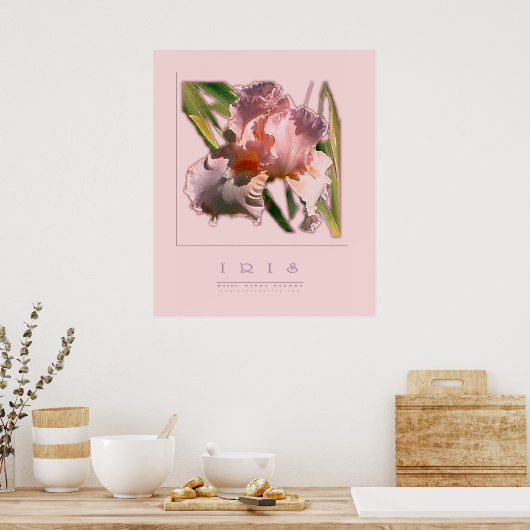 POSTER IRIS (Cuisine)