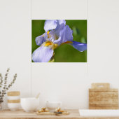 Poster Iris (Cuisine)