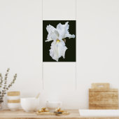 Poster Iris à barbe blanche sur fond noir (Cuisine)