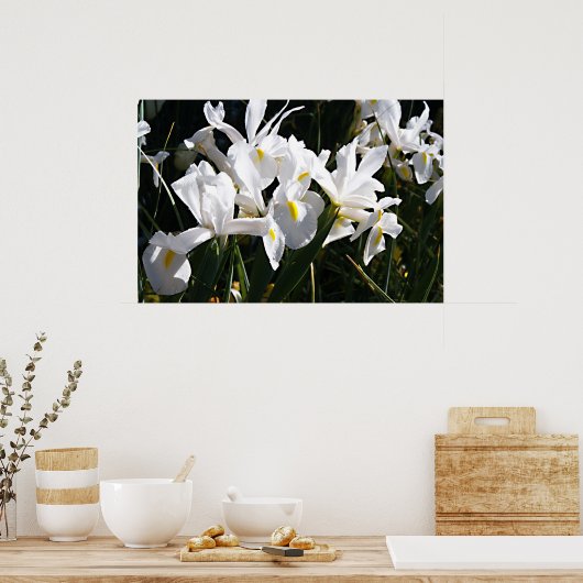 Poster Iris à poils (Cuisine)