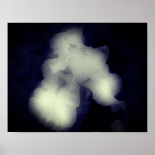 Poster Iris Arrière Noir Et Blanc Haut Contraste