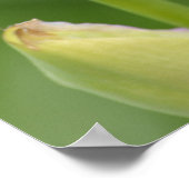 Poster Iris avec citation (Coin)