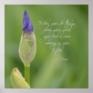 Poster Iris avec la citation
