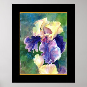 Poster Iris barbu géant