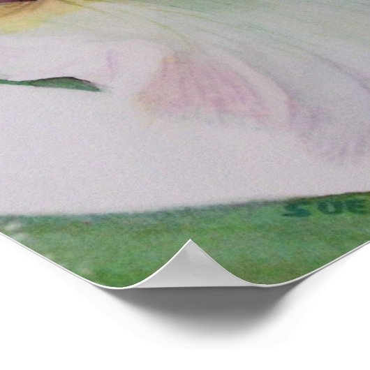 Poster Iris blanc unique (Coin)