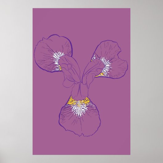 Poster Iris Botanical Line Art (Devant)