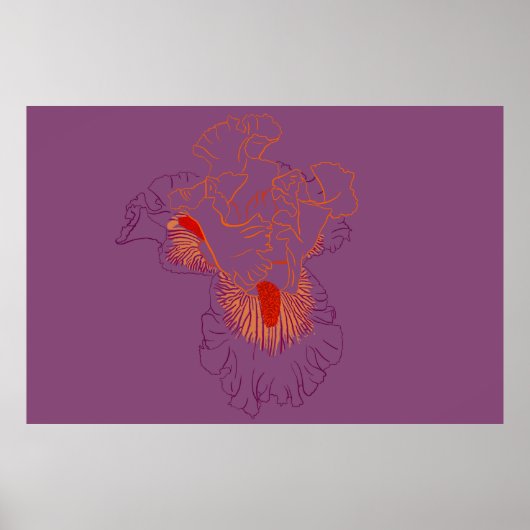 Poster Iris Botanical Line Art (Devant)