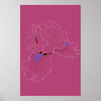 Poster Iris Botanical Line Art