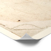 Poster Iris Botanical Print Antique Illustration (Coin)