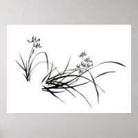 Iris chinois au printemps