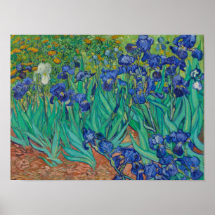 Poster Iris de Van Gogh