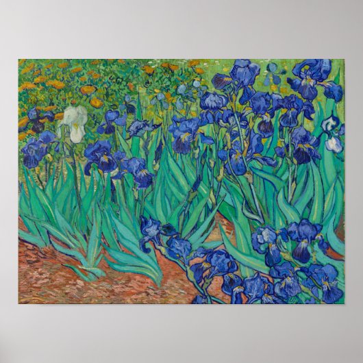 Poster Iris de Van Gogh (Devant)