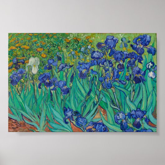 Poster Iris de Van Gogh (Devant)
