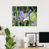 Poster Iris d'eau sur étang (Bureau à domicile)