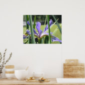 Poster Iris d'eau sur l'étang (Cuisine)