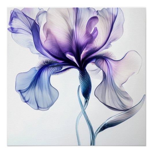 Poster Iris Délicat en Fleurs (Devant)