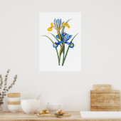 Poster Iris espagnol par Pierre-Joseph Redouté (Cuisine)