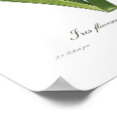 Poster Iris flavescens (Coin)