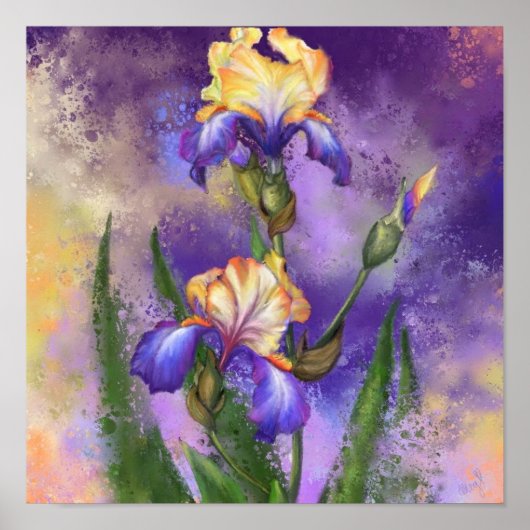 Poster Iris Fleurs Irises Peinture (Devant)