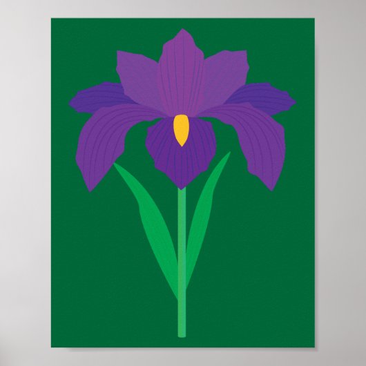 Poster Iris Flower (Devant)
