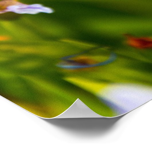 Poster Iris Flower (Coin)