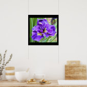 Poster Iris Flower Photo (Cuisine)