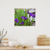 Poster Iris Flower Photo (Cuisine)