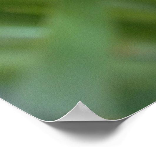 Poster Iris Flower Photo (Coin)