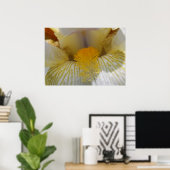 Poster Iris Flower Photographie (Bureau à domicile)