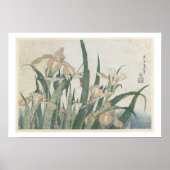 Poster Iris Flowers and Grasshopper, c.1830-31 (Devant)