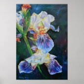 Poster "Iris I" (Devant)