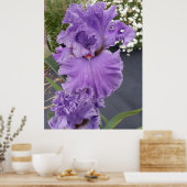 Poster Iris Irises Fleur violette Florale Lavande (Cuisine)