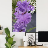 Poster Iris Irises Fleur violette Florale Lavande (Bureau à domicile)