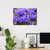Poster Iris Katherine Hodgkin Violet Floral de Printemps (Bureau à domicile)