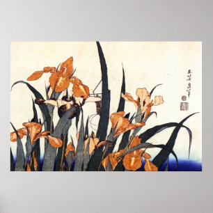 Poster Iris, Katsushika Hokusai