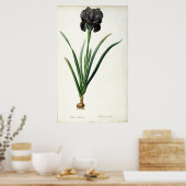 Poster Iris Luxiana, de "Les Liliacées", 1805 (Cuisine)