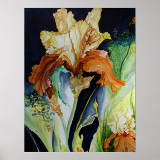 Poster Iris orange et jaune