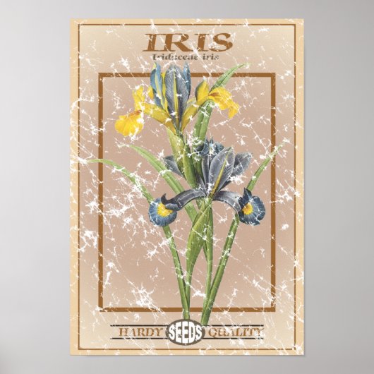 Poster Iris paquet de graines - en détresse (Devant)