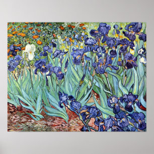 Poster Iris par Vincent van Gogh 1898