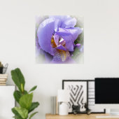 Poster iris pourpre (Bureau à domicile)