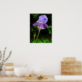 Poster Iris pourpre (Cuisine)