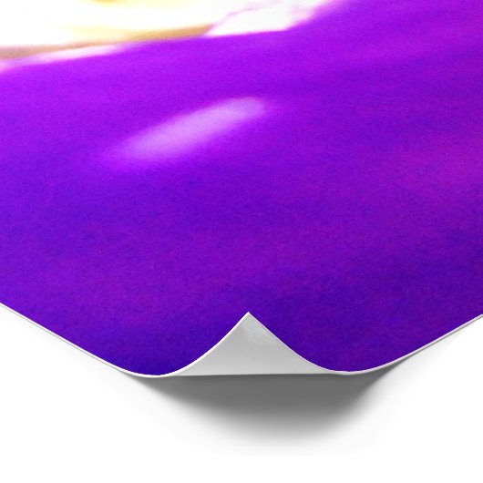 Poster Iris pourpre (Coin)