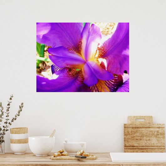 Poster Iris pourpre (Cuisine)