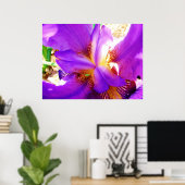 Poster Iris pourpre (Bureau à domicile)