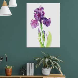 Poster Iris Pourpre en Aquarelle Lumineuse